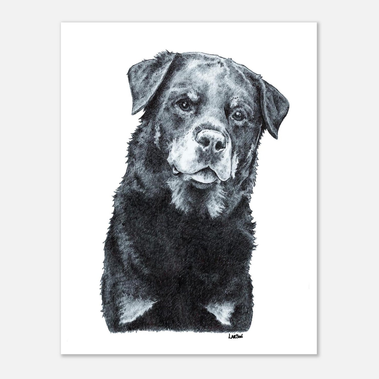 Black and white drawing of a rottweiler on a white background