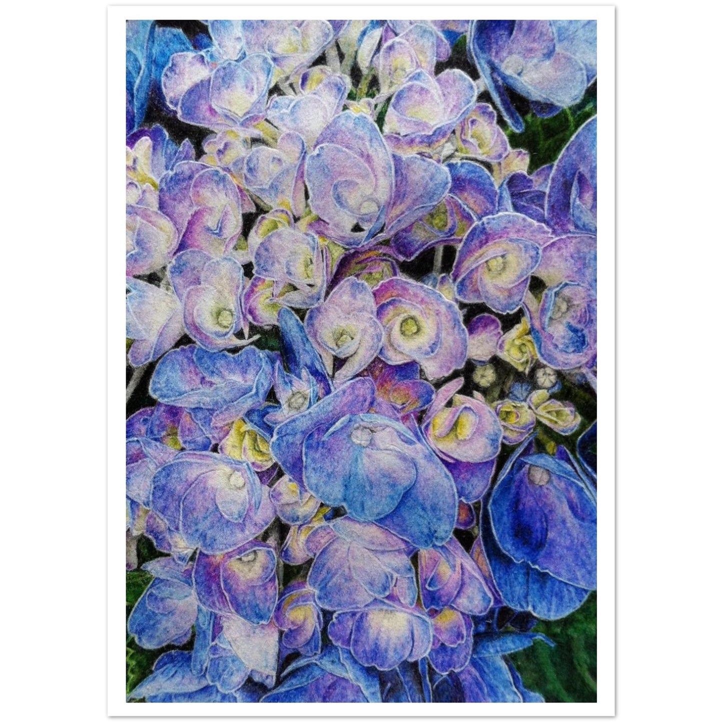 Artistic depiction of blue flowers with a white background