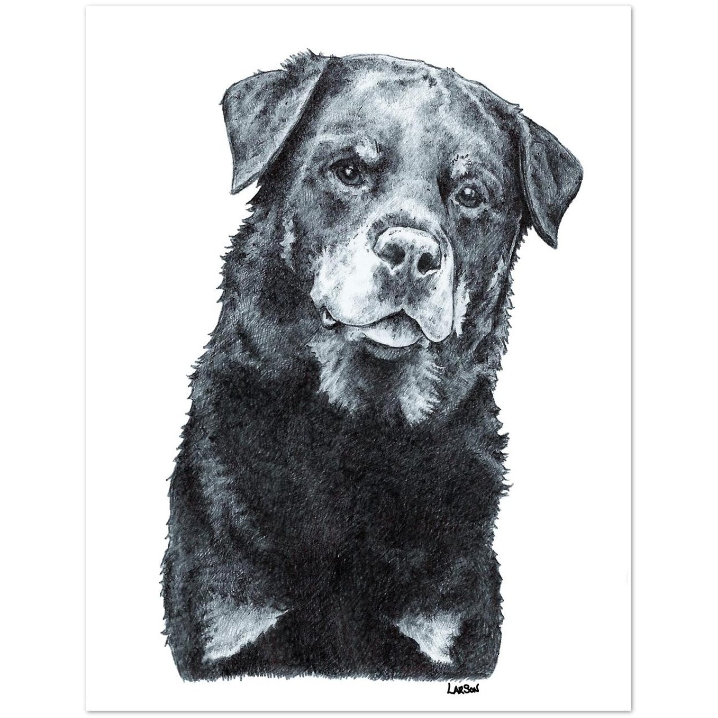 Black and white drawing of a Rottweiler dog on a white background