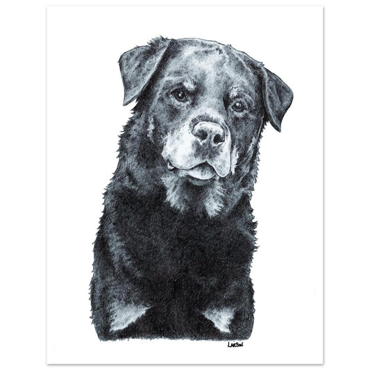 Black and white drawing of a rottweiler on a white background