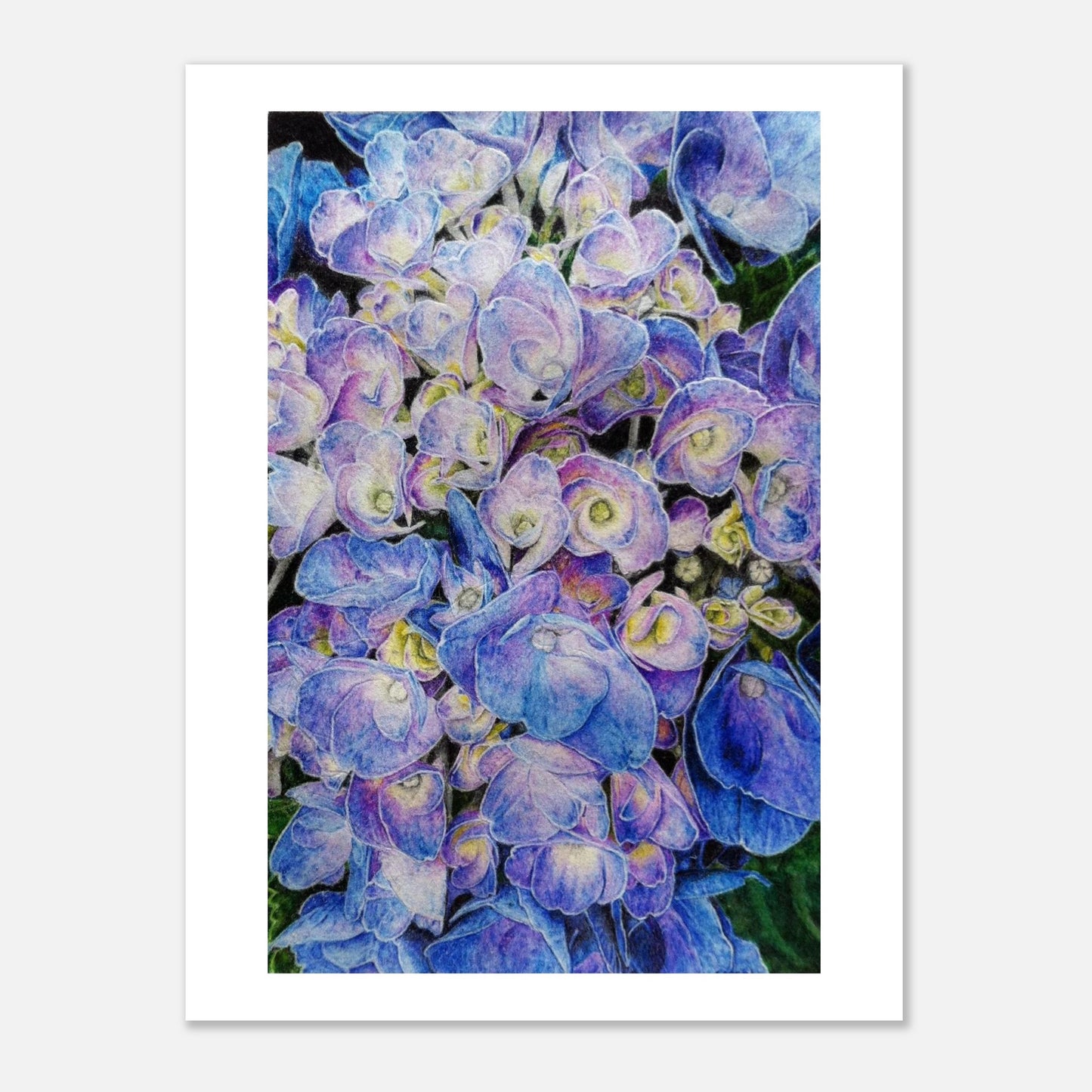 Art print of blue and purple flowers with a white border