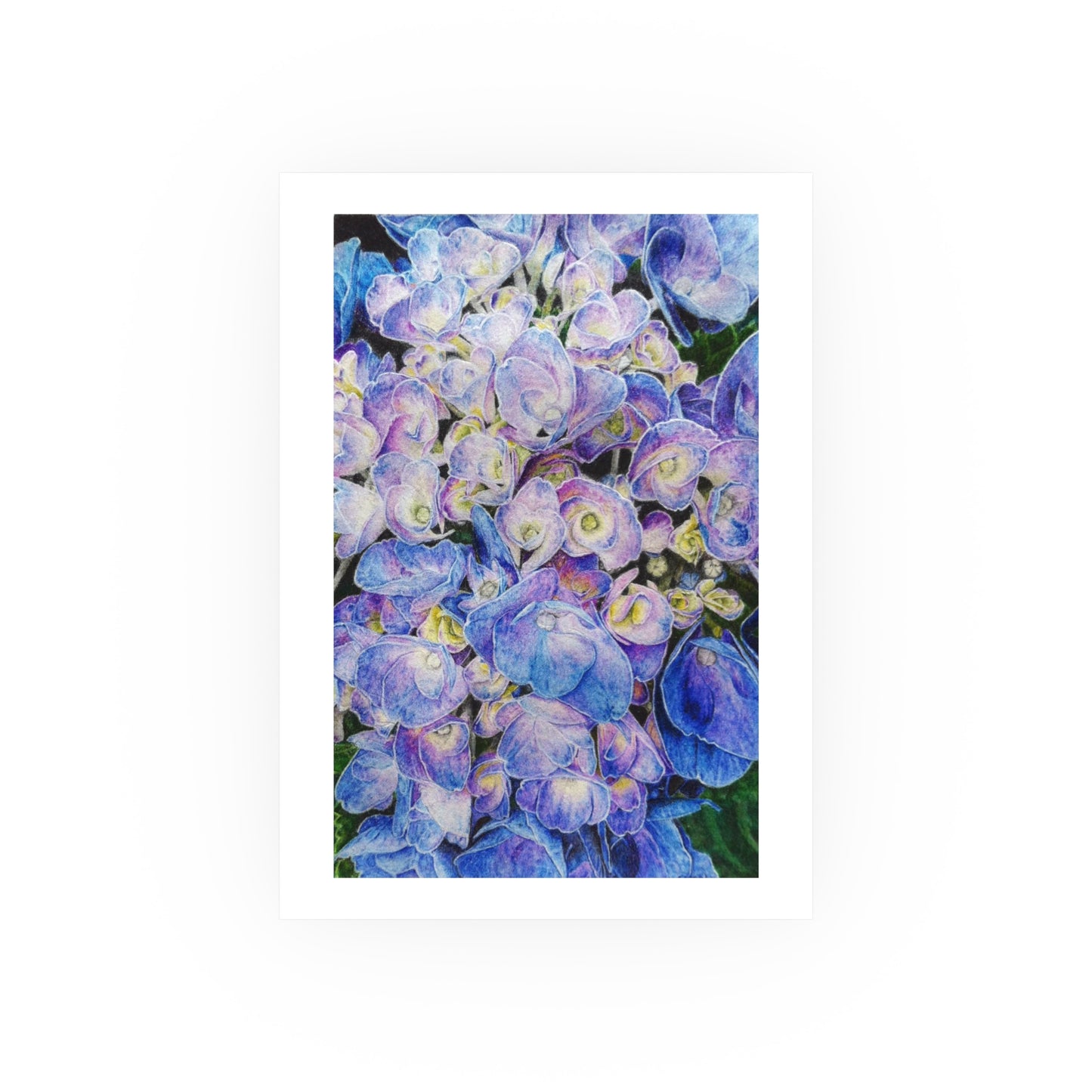 Ocean of Petals - Hydrangea Art Print
