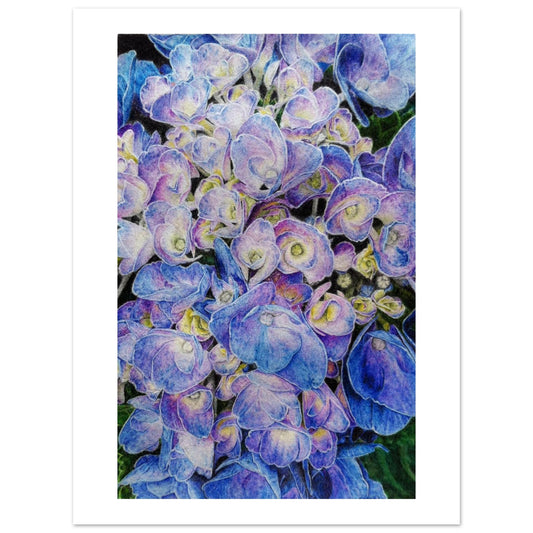 Close-up of blue and purple flowers with a white border