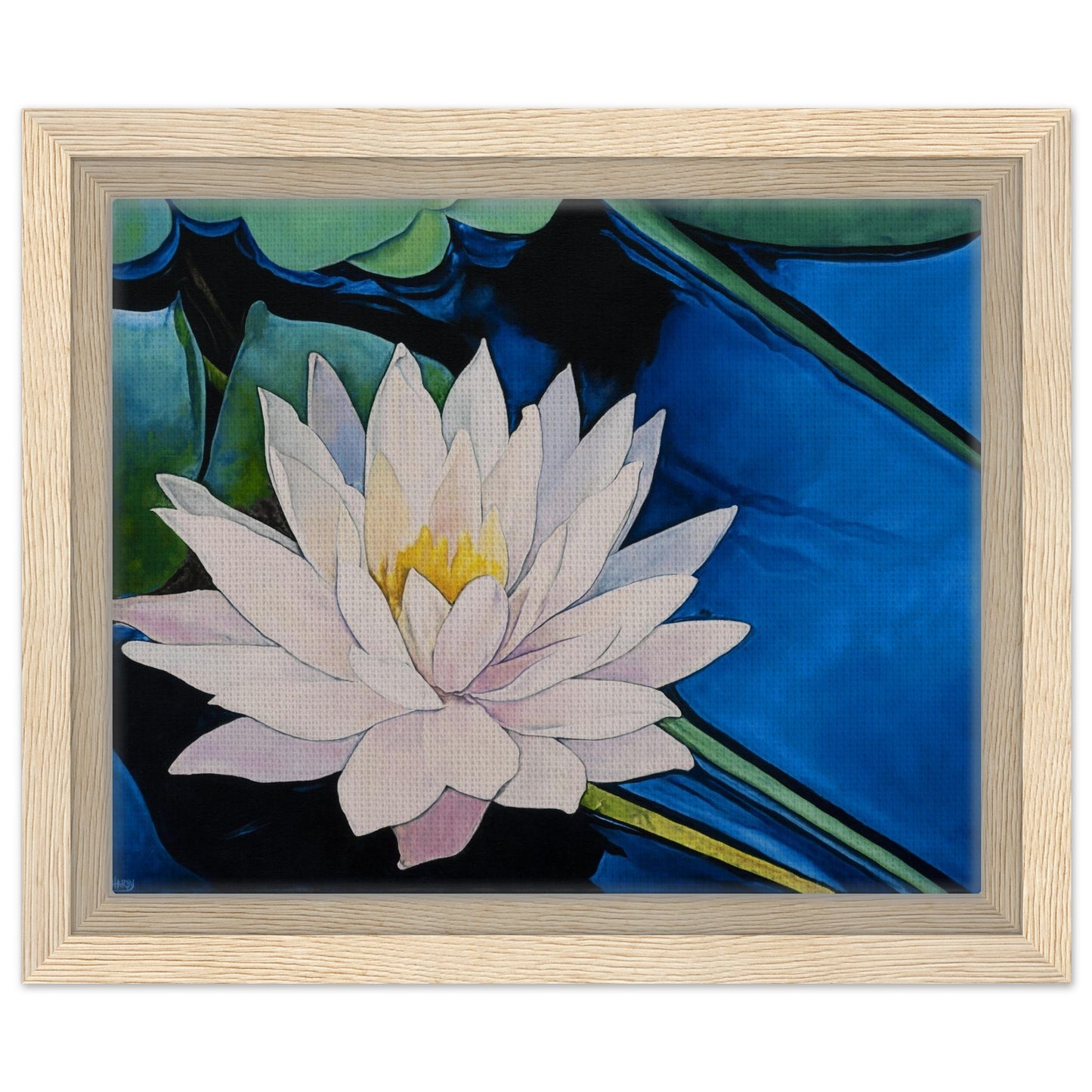 Framed artwork of a white water lily with a blue background