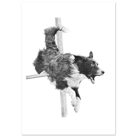 Black and white illustration of a dog leaping over a hurdle on a white background
