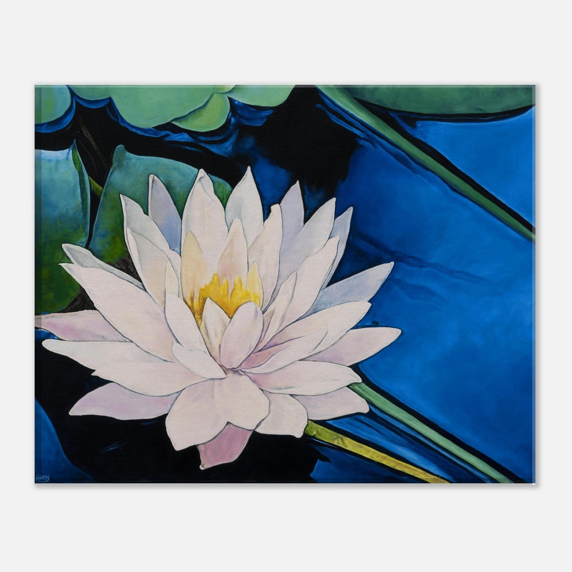 Painting of a white water lily with a yellow center on a blue background