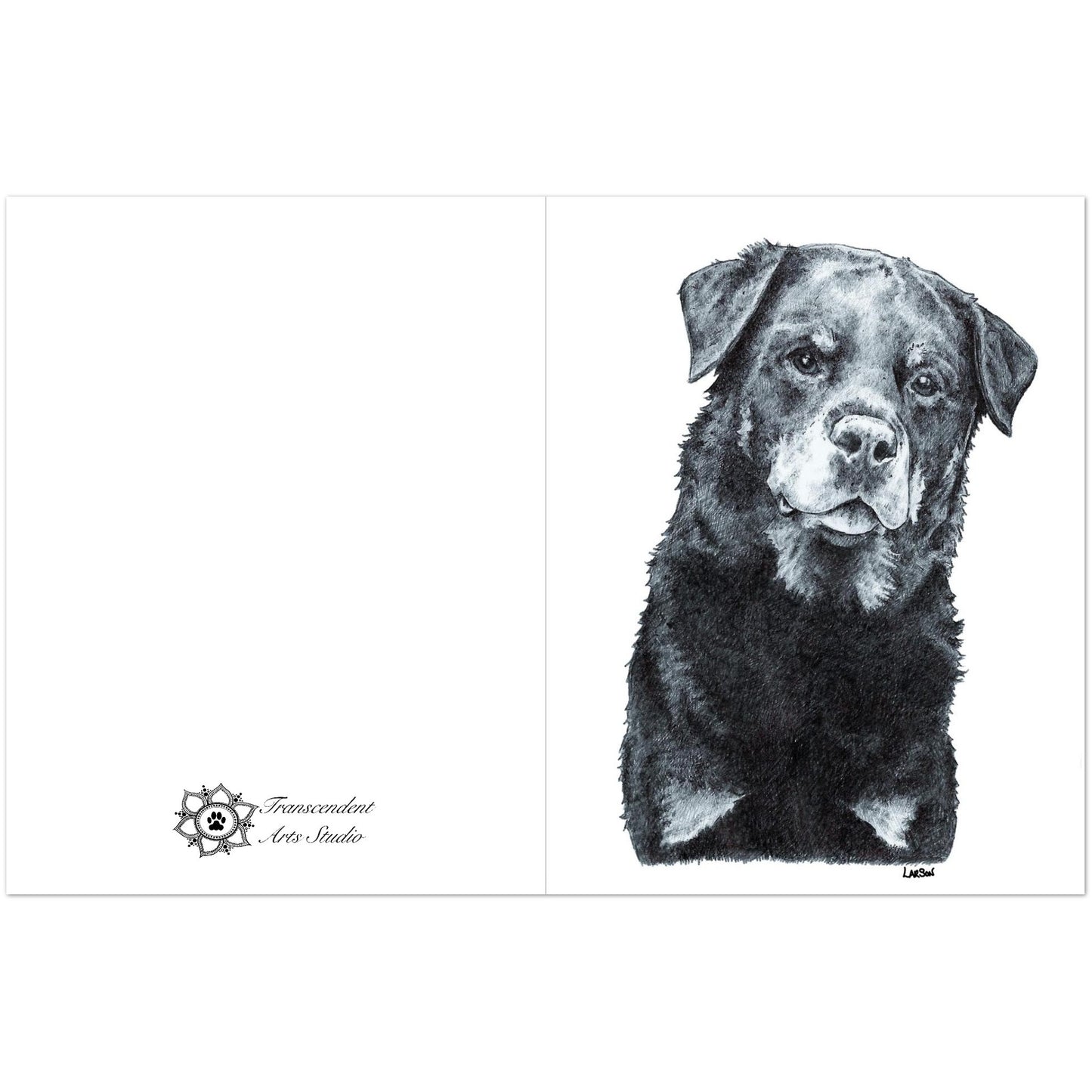 Black and white drawing of a dog on a white background with 'Transcendent Art Studio' logo.