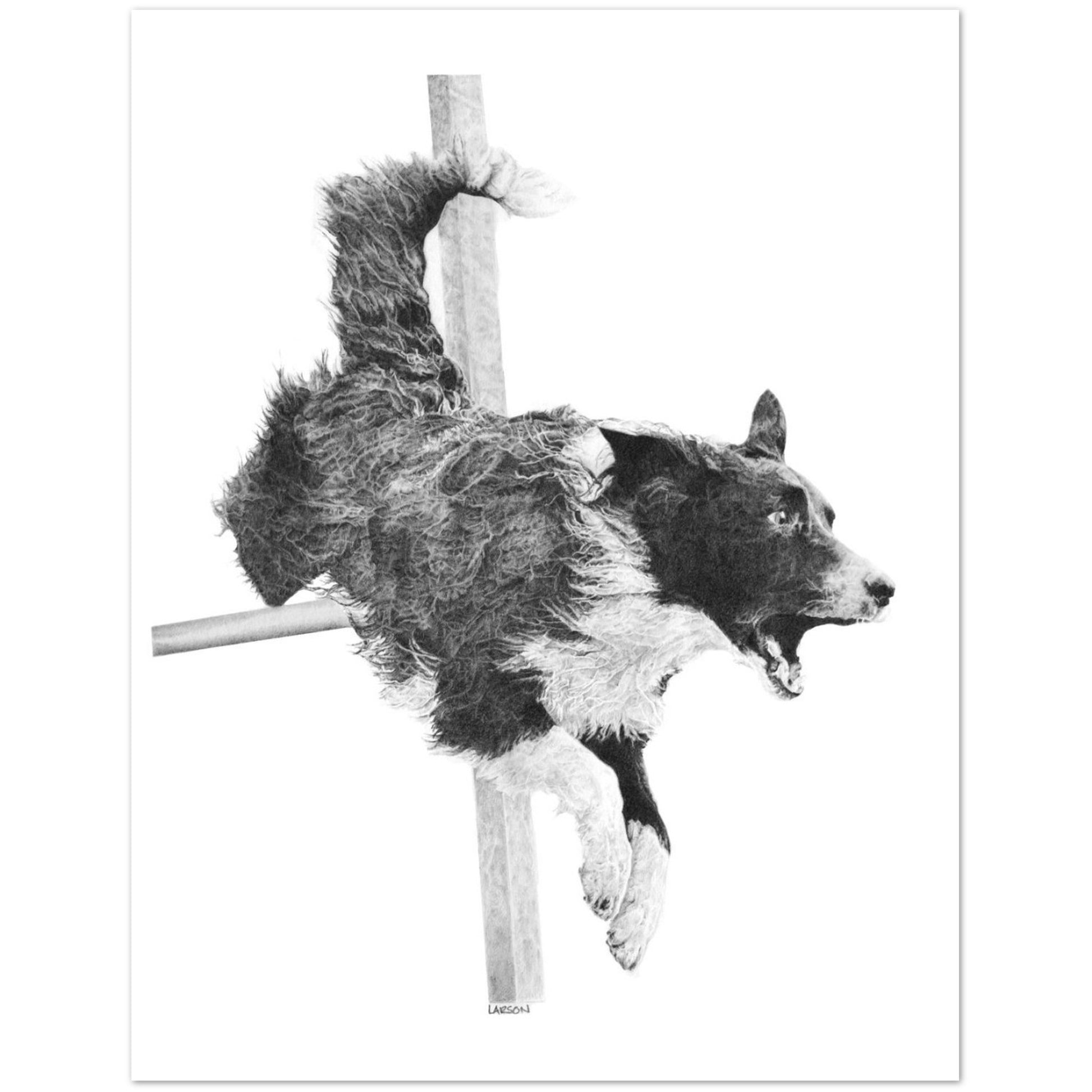 Black and white illustration of a dog leaping over an obstacle