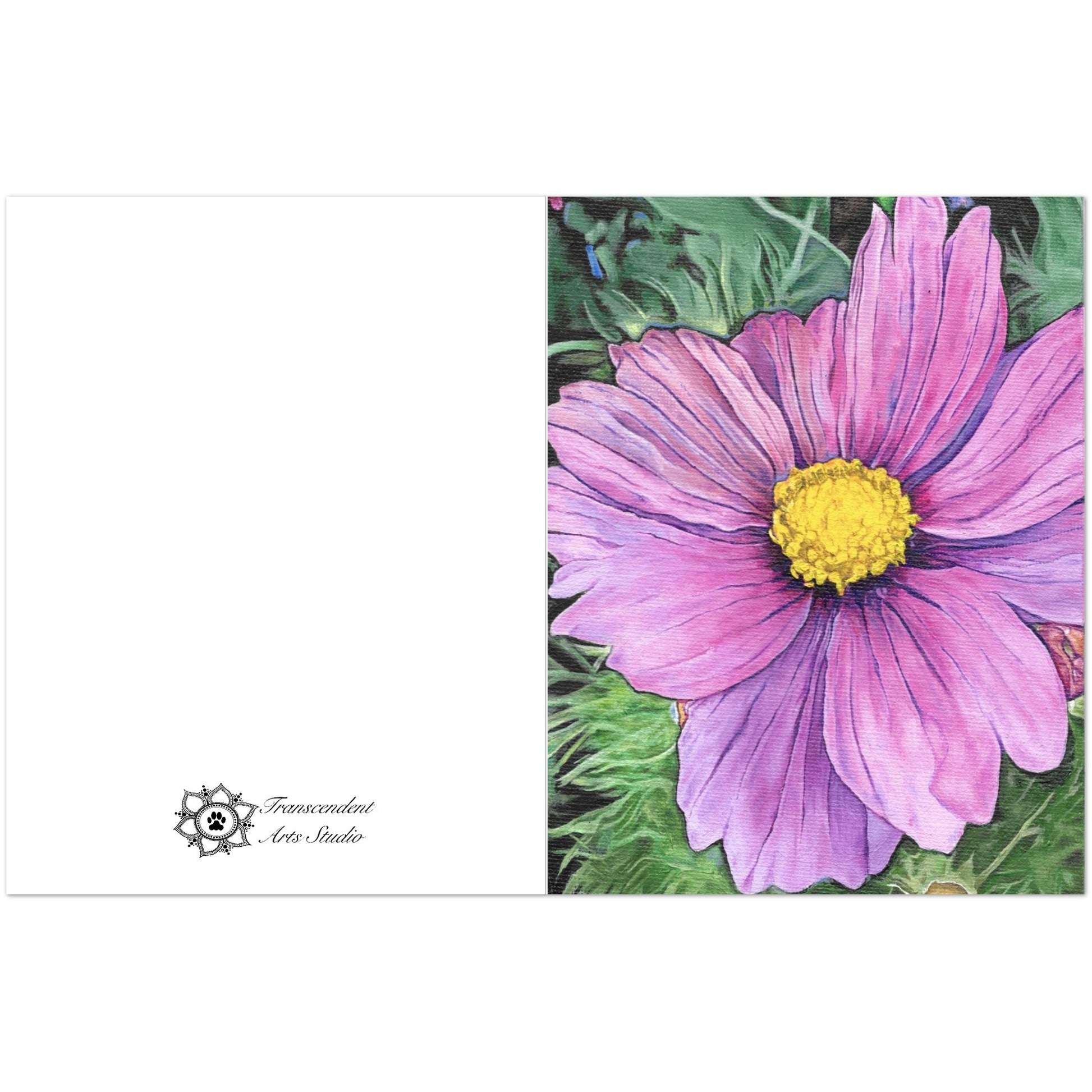 Colorful flower with a yellow center on a white background, featuring the brand 'Transcendent Art Studio'.